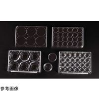 CELLTREAT 30×10mm ガラス底組織培養処理皿 15mmガラス 滅菌済み 50個入 229632 1個 68-0311-77（直送品）