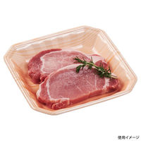 エフピコ 発泡トレー メガプレート20-20(30)平 日光 3C632020 1ケース(1000個(100個×10)（直送品）