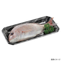 エフピコ 鮮魚トレー FLステージ25-12(25) エコ黒木銀 4212522D 1ケース(1400個(100個×14)（直送品）