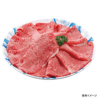 エフピコ 発泡トレー しゃぶしゃぶ255 本体 旬香青 42130255 1ケース(400個(50個×8)（直送品）