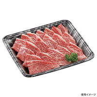 エフピコ 発泡トレー FLB-A17-30 エコ黒木銀 4B990176 1ケース(1500個(100個×15)（直送品）