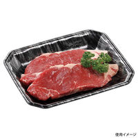 エフピコ 発泡トレー メガプレート20-24(30)平 エコ黒木銀 4C852024 1ケース(900個(100個×9)（直送品）