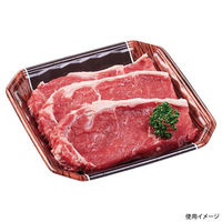 エフピコ 発泡トレー メガプレート20-20(30)平 ロッキー 4C992003 1ケース(1000個(100個×10)（直送品）