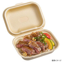 エフピコ 弁当容器 DLVボーノ19-15MFP ベージュ 4M032002 1ケース(270個(30個×9)（直送品）