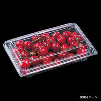 エフピコ フードパック SA-410-45(V) 穴有 76644104 1ケース(900個(50個×18)（直送品）