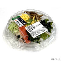 エフピコ 冷麺容器 APルピア17(40) 本体 7R001301 1ケース(1200個(100個×12)（直送品）