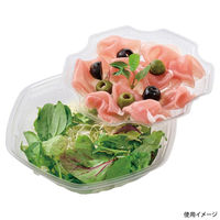 エフピコ サラダ容器 APヘキサ 19-18(55) 本体 エコ 7R001918 1ケース(400個(50個×8)（直送品）