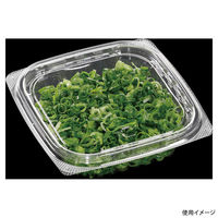 エフピコ 軽食容器 AP-NK12-12(36) 本体 エコ 7R006018 1ケース(1200個(50個×24)（直送品）