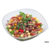 エフピコ 冷麺容器 AP-B&H28-28(97)本体 7R004550 1袋(30個)（直送品）