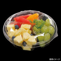 エフピコ 冷麺容器 APサラダ-18-3(V) 本体 7R010019 1ケース(900個(50個×18)（直送品）