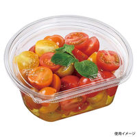 エフピコ サラダ容器 APララ 14-12(55) 本体 エコ 7R010503 1ケース(600個(50個×12)（直送品）