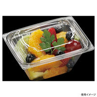 エフピコ フルーツ容器 AP-FBOX 13-10(61) エコ 7R011310 1ケース(1000個(50個×20)（直送品）