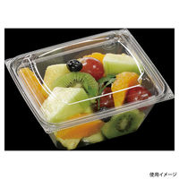 エフピコ フルーツ容器 AP-FBOX 15-13(61) エコ 7R011513 1ケース(600個(50個×12)（直送品）