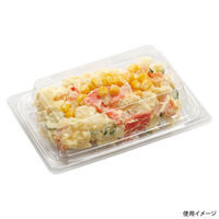 エフピコ 惣菜容器 APプレイン 17-11 ST エコ 7R013171 1ケース(1200個(50個×24)（直送品）