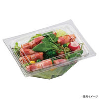 エフピコ サラダ容器 APアングル 15-11(54) 本体 エコ 7R021511 1ケース(1200個(50個×24)（直送品）