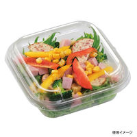 エフピコ サラダ容器 APベジBOX 150-550 本体 エコ 7R045336 1ケース(600個(50個×12)（直送品）