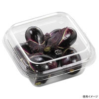 エフピコ サラダ容器 APベジBOX 126-320 エコ 7R045421 1ケース(800個(50個×16)（直送品）