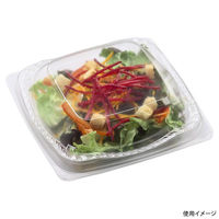 エフピコ サラダ容器 APピアット 15-15(30) 本体 エコ 7R081515 1ケース(1200個(50個×24)（直送品）