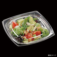 エフピコ サラダ容器 APエルモ15-15(40) 本体 エコ 7R081540 1ケース(1000個(50個×20)（直送品）