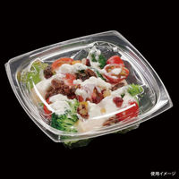 エフピコ サラダ容器 APエルモ16-16(50) 本体 エコ 7R081650 1ケース(900個(50個×18)（直送品）