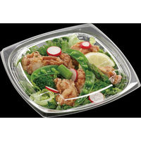 エフピコ サラダ容器 APエルモ19-19(40)本体 エコ 7R081940 1ケース(600個(50個×12)（直送品）