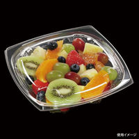 エフピコ サラダ容器 APエルモ19-19(50) 本体 エコ 7R081950 1ケース(600個(50個×12)（直送品）