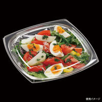 エフピコ サラダ容器 APエルモ20-20(40) 本体 エコ 7R082040 1ケース(600個(50個×12)（直送品）