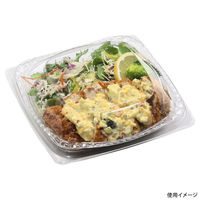 エフピコ サラダ容器 APピアット 20-20(30) 本体 エコ 7R082020 1ケース(600個(50個×12)（直送品）