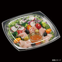 エフピコ サラダ容器 APエルモ22-22(45) 本体 エコ 7R082245 1ケース(400個(50個×8)（直送品）