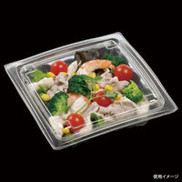 エフピコ サラダ容器 APアーチ17-17(40) 本体 エコ 7R086171 1ケース(800個(50個×16)（直送品）