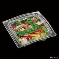 エフピコ サラダ容器 APアーチ15-15(40) 本体 エコ 7R086155 1ケース(1000個(50個×20)（直送品）