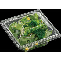 エフピコ サラダ容器 APモダン15-15(55)本体 エコ 7R172155 1ケース(900個(50個×18)（直送品）