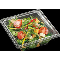 エフピコ サラダ容器 APモダン17-17(60)本体 エコ 7R172176 1ケース(600個(50個×12)（直送品）
