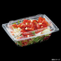 エフピコ 冷麺容器 AP-F18-13 本体 7R101813 1ケース(900個(50個×18)（直送品）