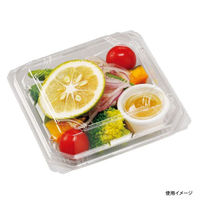 エフピコチューパ 和菓子向けフードパック APW-4-2 CP000540 1ケース(1200個(50個×24)（直送品）