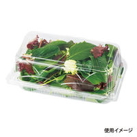 エフピコチューパ フルーツ容器 VF16 CP003352 1ケース(1000個(100個×10)（直送品）