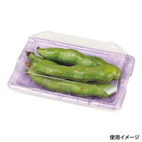 エフピコチューパ フルーツ容器 PSTR250平 くもはだパープル CP003876 1ケース(1000個(100個×10)（直送品）