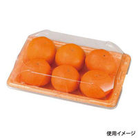 エフピコチューパ フルーツ容器 PSTR250平 くもはだオレンジ CP003877 1ケース(1000個(100個×10)（直送品）