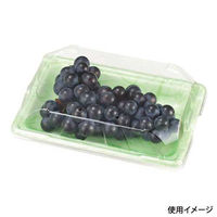 エフピコチューパ フルーツ容器 PSTR250平 くもはだグリーン CP003878 1ケース(1000個(100個×10)（直送品）