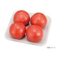 エフピコチューパ フルーツ容器 VF-X1414 AP 透明 CP003986 1ケース(1800個(100個×18)（直送品）