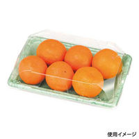 エフピコチューパ フルーツ容器 PSTR250平 くもはだ濃グリーン CP003880 1ケース(1000個(100個×10)（直送品）