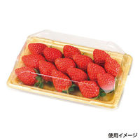 エフピコチューパ フルーツ容器 PSTR250平 くもはだゴールド CP003881 1ケース(1000個(100（直送品）