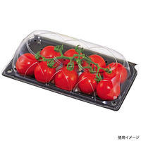エフピコチューパ フルーツ容器 FMT1V.8H.BLW CP007330 1ケース(600個(50個×12)（直送品）