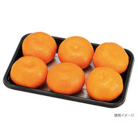 エフピコチューパ フルーツ容器 VF-X2013 AP BLW CP007387 1ケース(1200個(100個×12)（直送品）