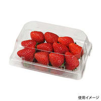 エフピコチューパ STR-R HA嵌合蓋 6H (R) CP007413 1ケース(500個(25個×20)（直送品）