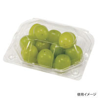 エフピコチューパ フルーツ容器 PSクリアルーフS 9H CP007423 1ケース(1200個(100個×12)（直送品）