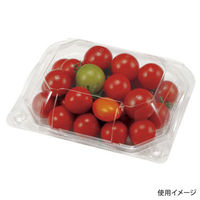 エフピコチューパ フルーツ容器 PSクリアルーフM 10H CP007427 1ケース(900個(100個×9)（直送品）