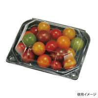 エフピコチューパ フルーツ容器 PSクリアルーフM 10H BLW CP007428 1ケース(900個(100個×9)（直送品）