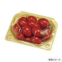 エフピコチューパ フルーツ容器 PSクリアルーフS(深) 9H GLW CP007473 1ケース(1200個(100個×12)（直送品）