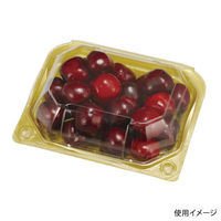 エフピコチューパ フルーツ容器 PSクリアルーフM 10H GLW CP007476 1ケース(900個(100個×9)（直送品）